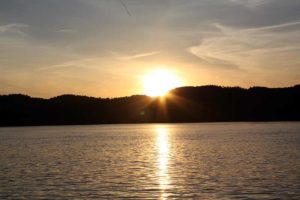 Angelladen Angelausrüstung Angelzubehör