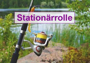 stationäre-Angelrolle Kauftipps stationäre-Angelrolle Kauftipps